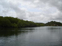 b00991